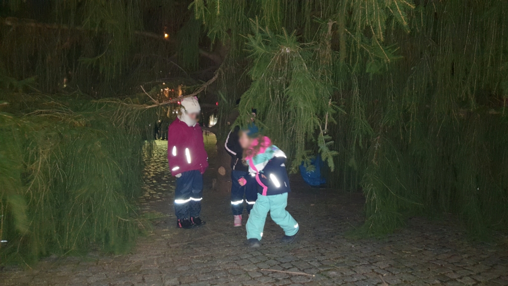 Kinder spielen unter dem Weihnachtsbaum auf dem Wilsdruffer Marktplatz