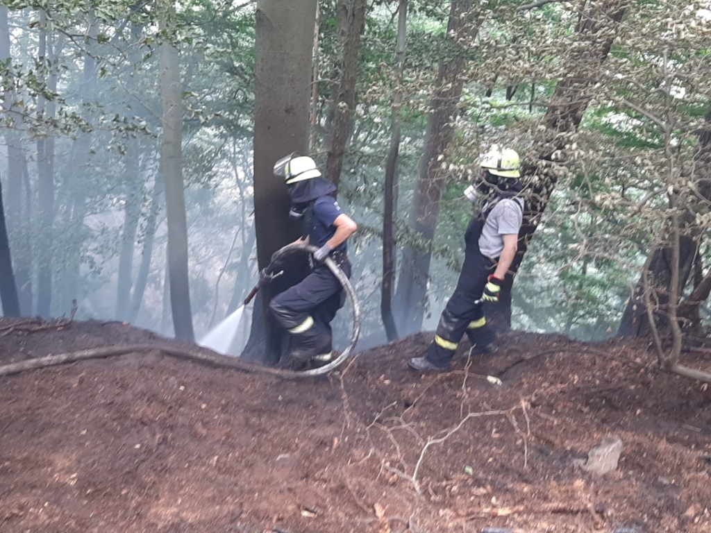 Zwei Feuerwehrleute bei der aktiven Brandbekämpfung im Wald