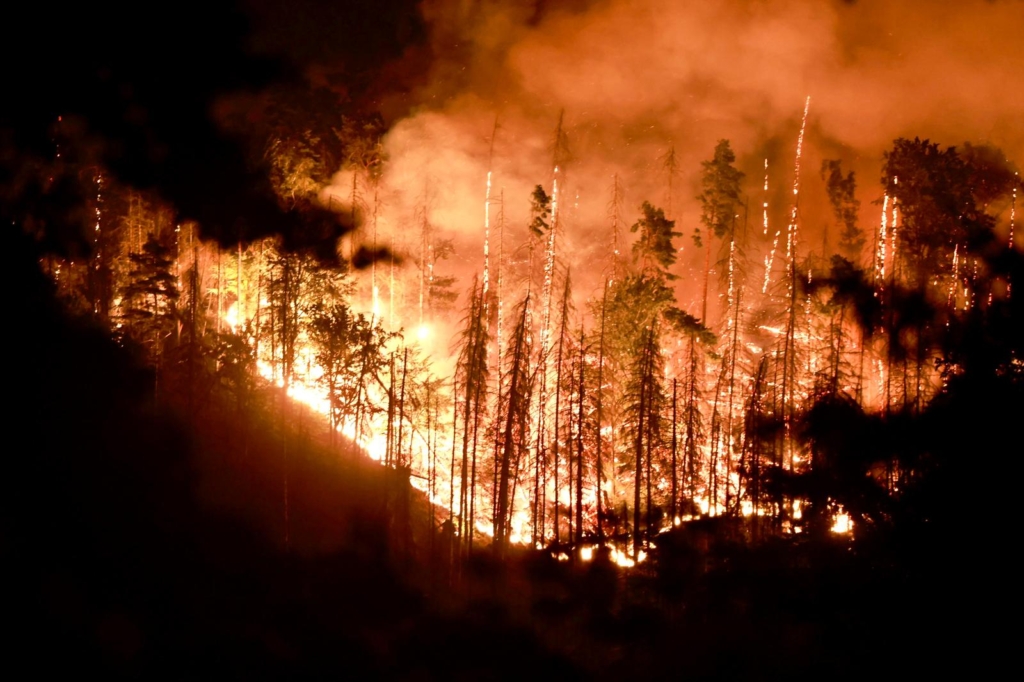 Der Wald steht in Flammen: Faszinierend und erschütternd zugleich